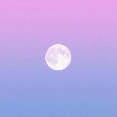 美企并未因AI抛弃商业软件 而是另辟蹊径